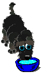 aab.gif (15563 bytes)