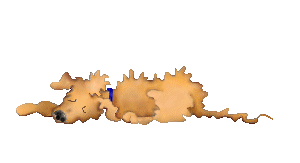 anigoldd.gif (60921 bytes)