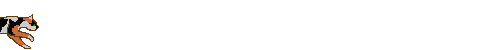 cat3.gif (31159 bytes)