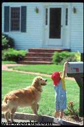 dogmail.asp (13176 bytes)